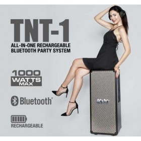 iDance ACDC TNT-1 Vintage PA Speaker 1000Watt - gebruikersvoorbeeld 2