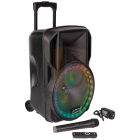 Party licht en sound PARTY-15RGB Draagbare luidspreker 15’’/38cm met USB, BT en microfoon - overzicht