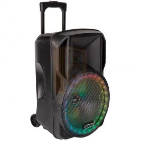 Party licht en sound PARTY-15RGB Draagbare luidspreker 15’’/38cm met USB, BT en microfoon - links