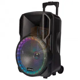 Party licht en sound PARTY-15RGB Draagbare luidspreker 15’’/38cm met USB, BT en microfoon - rechts 2