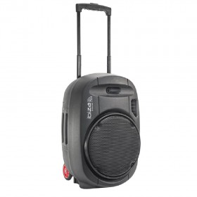 Ibiza Sound PORT12UHF-MKII - 12" Mobiel Alles in een geluidsysteem met Draadloze mic, USB en Bluetooth