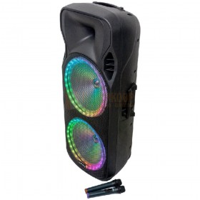 Party Light & Sound 215RGB - 900W draagbare luidspreker 2x15'' met USB, bluetooth, FM en 2 UHF microfoons