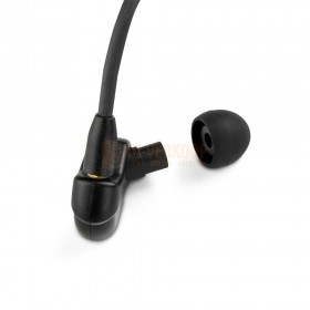 LD Systems IE HP 2 - Professionele in-ear hoofdtelefoon
