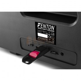 Ingangen op de achterkant - Fenton SBS82 - Party BT Speaker met USB en SD