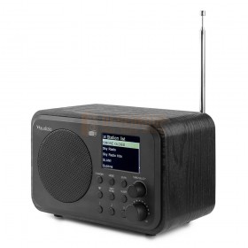 Audizio DAB+ Radio - Digitale tuner met batterij zwart