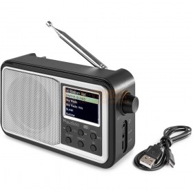 Audizio Parma - Portable DAB + Radio Zilver met kabel