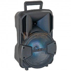 Speaker -  Party Light & Sound - PARTY-MOBILE8-SET - led-illuminated active box with stand + mic 8"/20cm