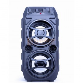 GMB Audio SPK-BT-13 - Bluetooth Party-speaker met karaokefunctie