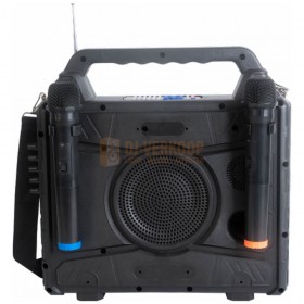 Ibiza Sound KARAVISION - Draagbare karaoke-luispreker met scherm & 2 VHF microfoons achterkant